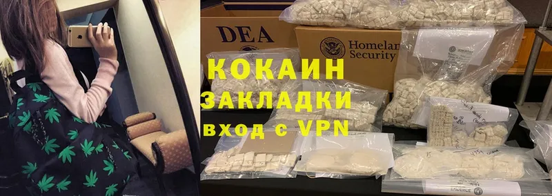 Cocaine FishScale  цена   Николаевск 